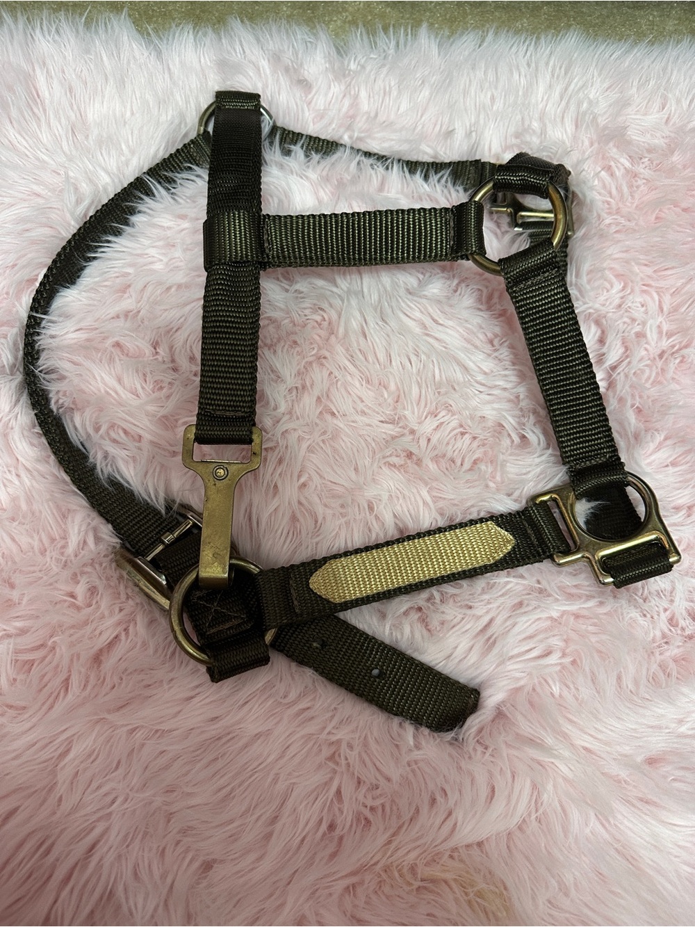 Nylon Horse Halter 9” nose band good condition